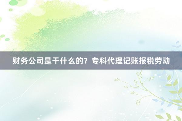财务公司是干什么的？专科代理记账报税劳动
