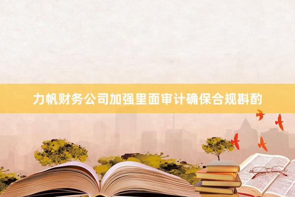力帆财务公司加强里面审计确保合规斟酌