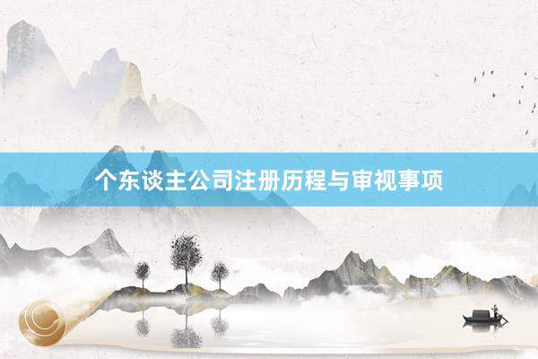 个东谈主公司注册历程与审视事项