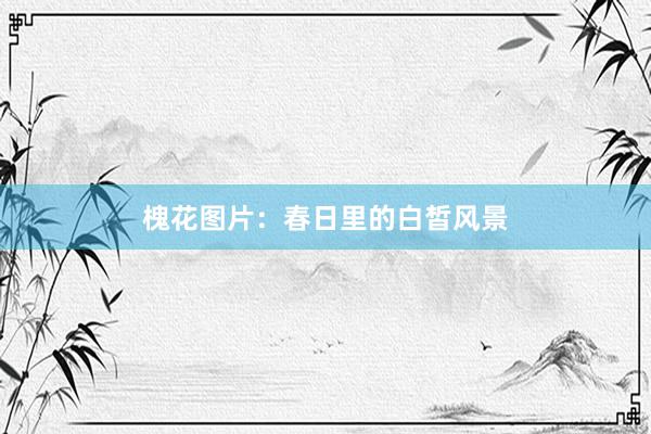 槐花图片：春日里的白皙风景